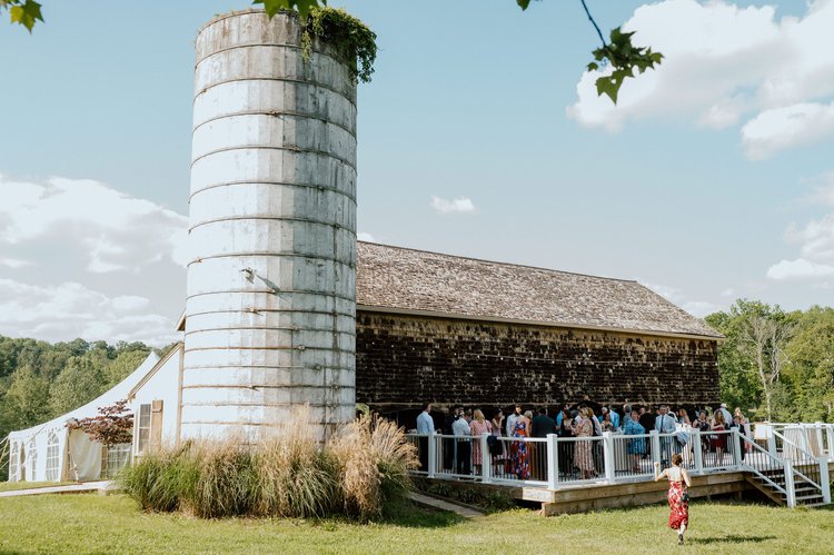 Why Cold Saturday Farm Stands Out